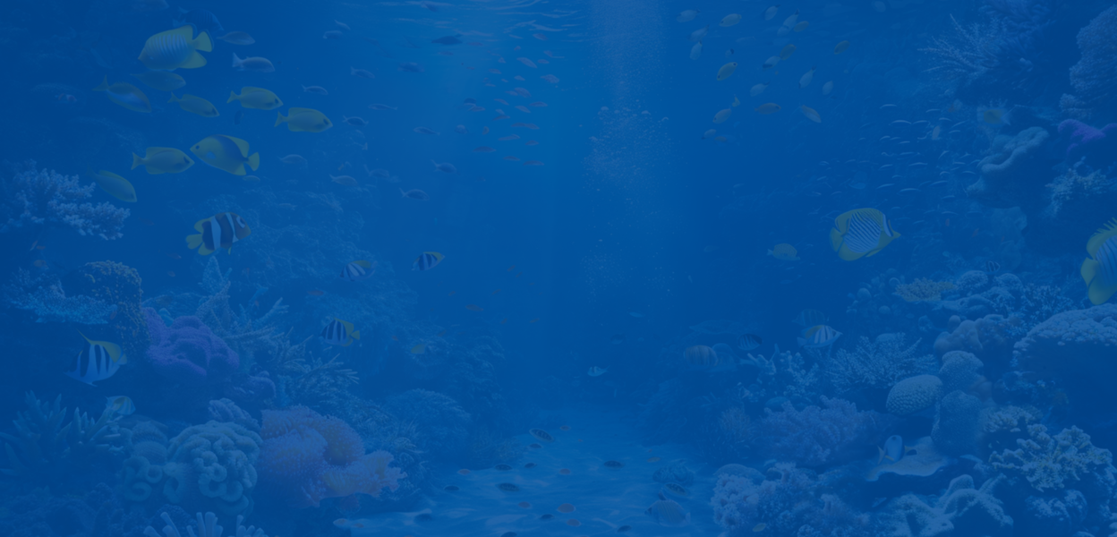 الاستدامة background